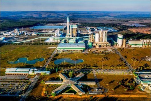 Veracel leva à COP30 modelos brasileiros de resiliência comunitária, bioeconomia e restauração da Mata Atlântica