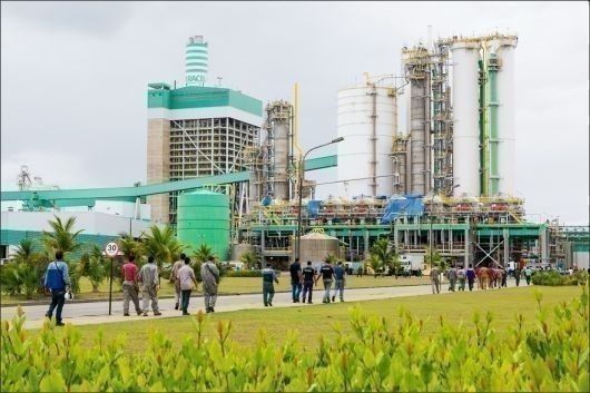 Veracel Celulose abre na próxima semana 31 vagas para o Programa de Estágio 2026